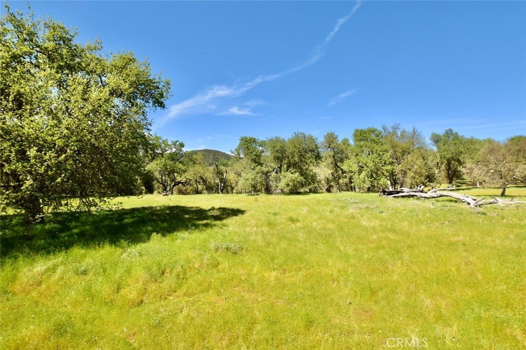 Paso Robles, California, 93446, United States, ,Land,Forsale,2003967