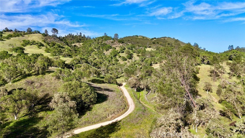 Paso Robles, California, 93446, United States, ,Land,Forsale,2003967