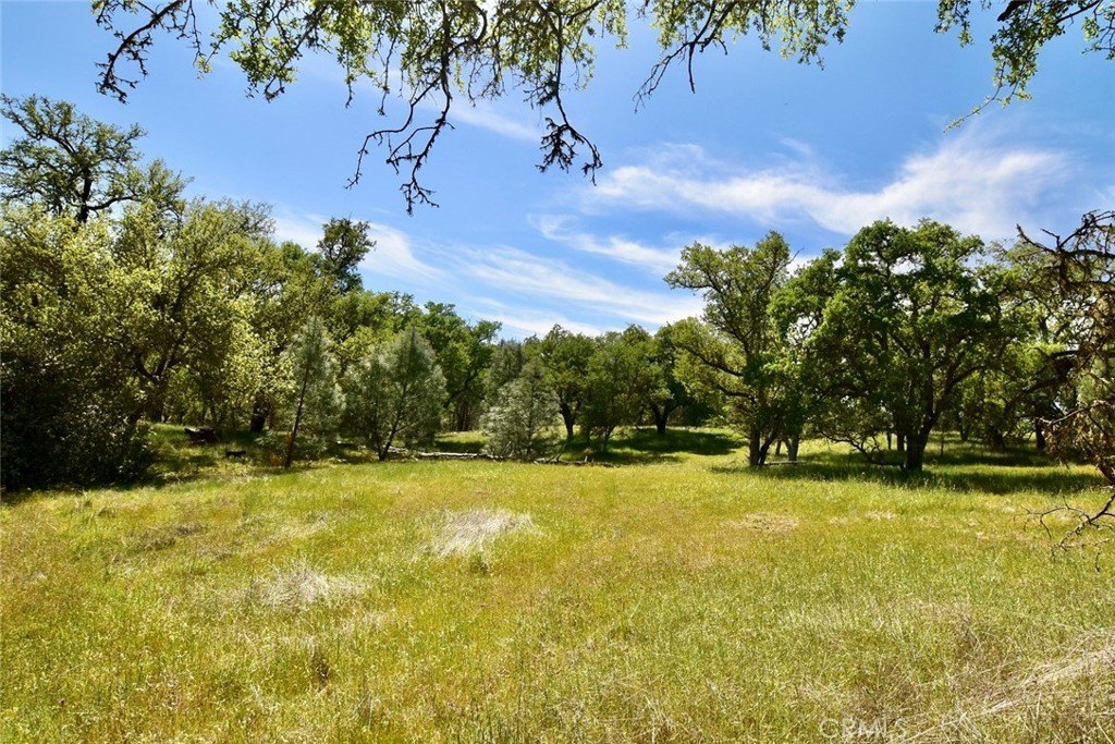 Paso Robles, California, 93446, United States, ,Land,Forsale,2003967