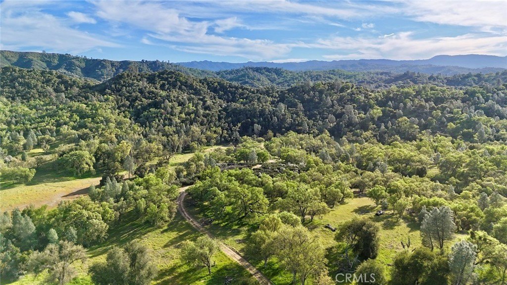 Paso Robles, California, 93446, United States, ,Land,Forsale,2003967