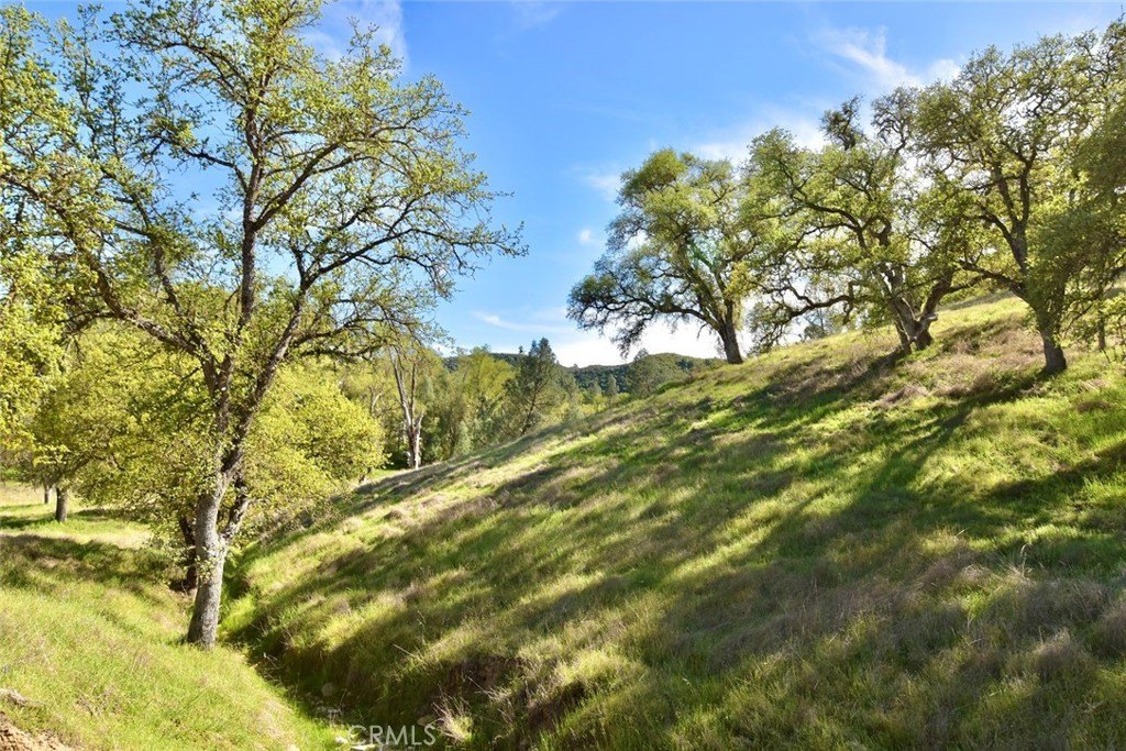 Paso Robles, California, 93446, United States, ,Land,Forsale,2003967