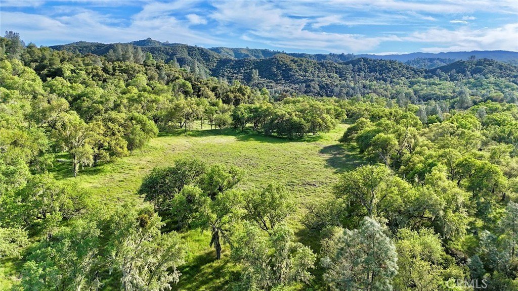 Paso Robles, California, 93446, United States, ,Land,Forsale,2003967