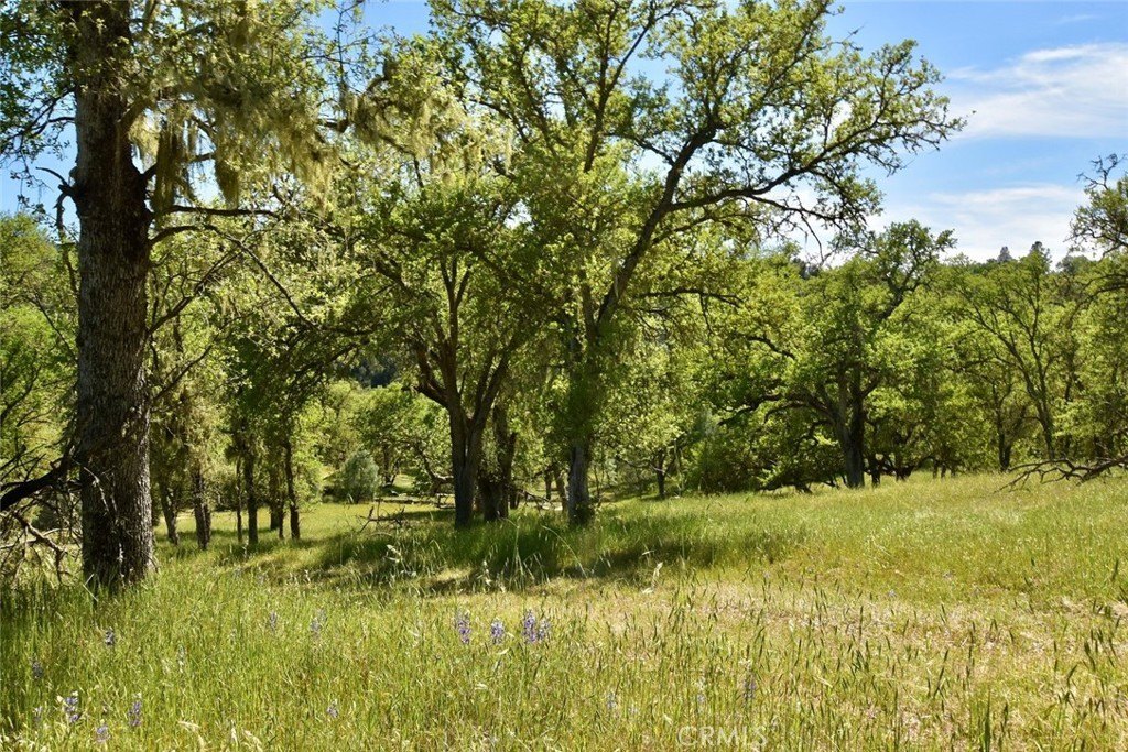 Paso Robles, California, 93446, United States, ,Land,Forsale,2003967