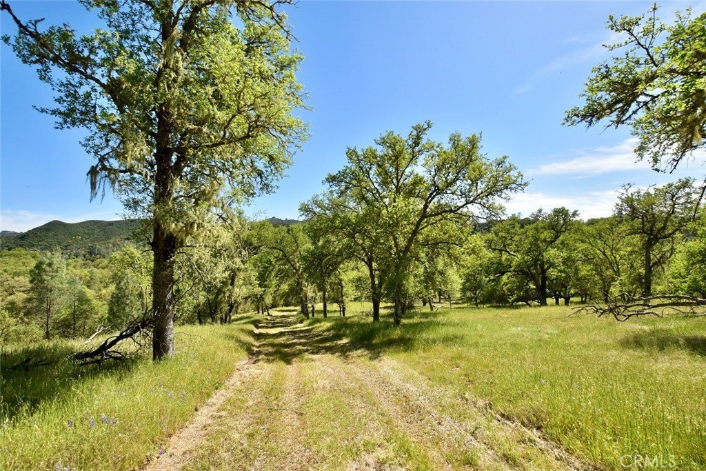 Paso Robles, California, 93446, United States, ,Land,Forsale,2003967