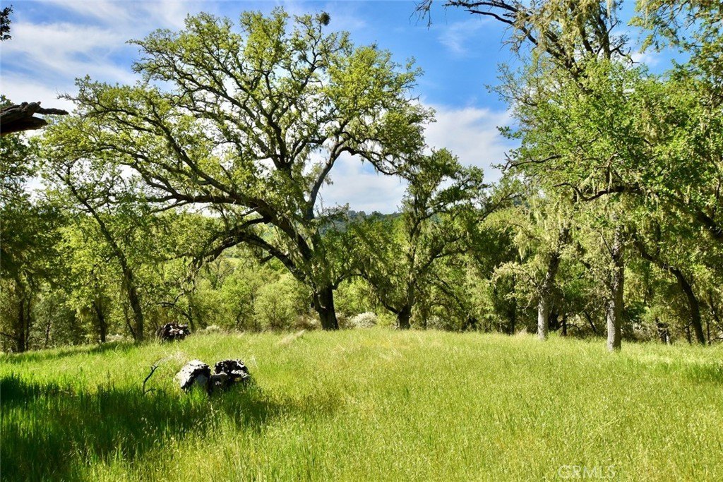 Paso Robles, California, 93446, United States, ,Land,Forsale,2003967
