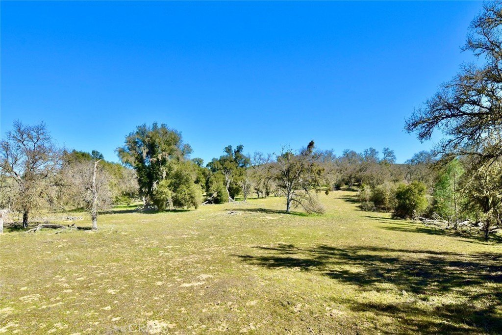 Paso Robles, California, 93446, United States, ,Land,Forsale,2003967