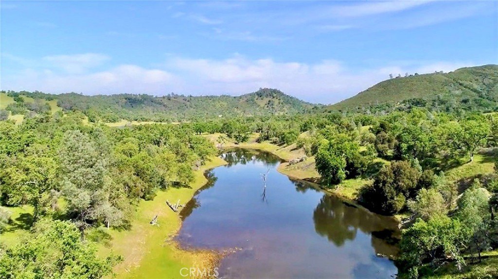 Paso Robles, California, 93446, United States, ,Land,Forsale,2003967