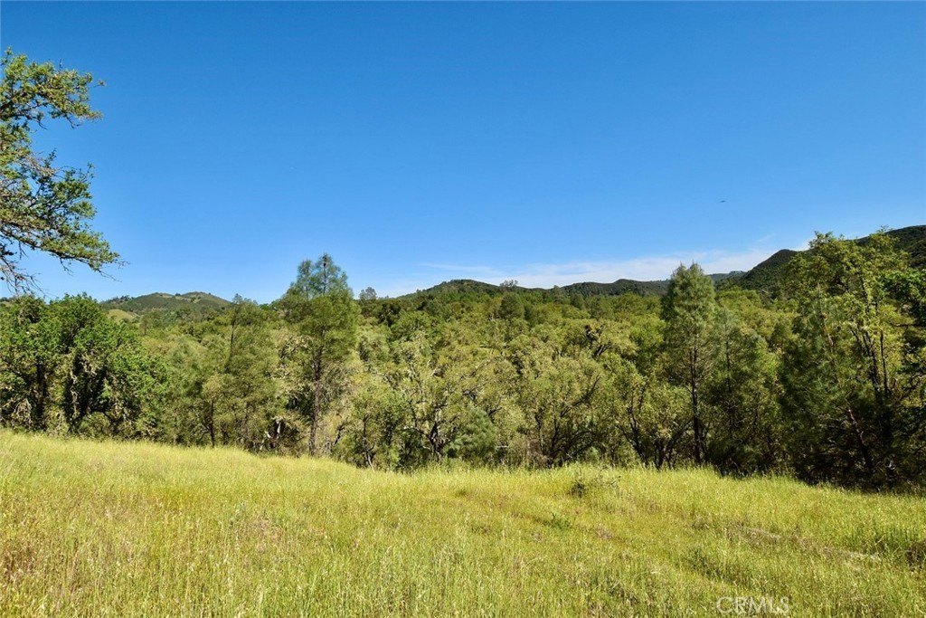 Paso Robles, California, 93446, United States, ,Land,Forsale,2003967