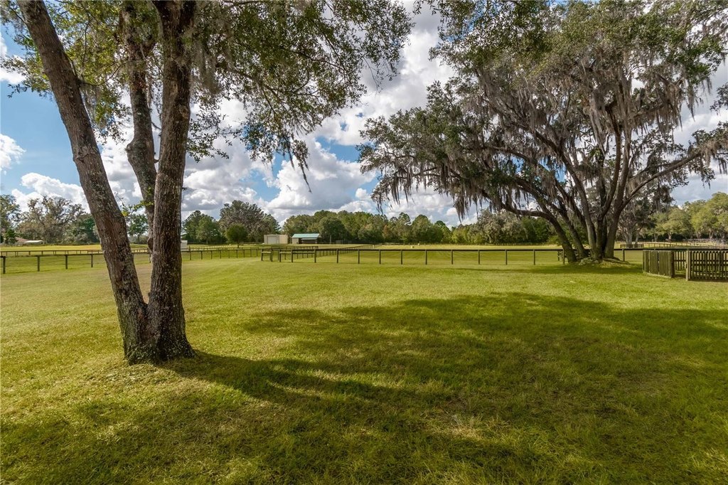 MORRISTON, Florida, 32668, United States, 4 Bedrooms Bedrooms, ,2.5 BathroomsBathrooms,Residential,Forsale,1905395