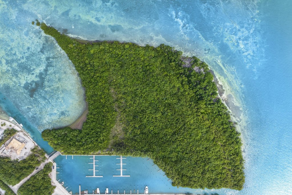 MARATHON, Florida, 33050, United States, ,Land,Forsale,1884617