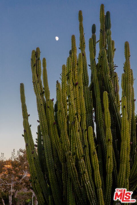 Malibu, California, 90265, United States, 3 Bedrooms Bedrooms, ,3.5 BathroomsBathrooms,Residential,Forsale,1985958