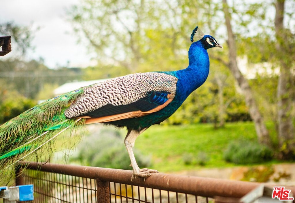 Malibu, California, 90265, United States, 3 Bedrooms Bedrooms, ,3.5 BathroomsBathrooms,Residential,Forsale,1985958