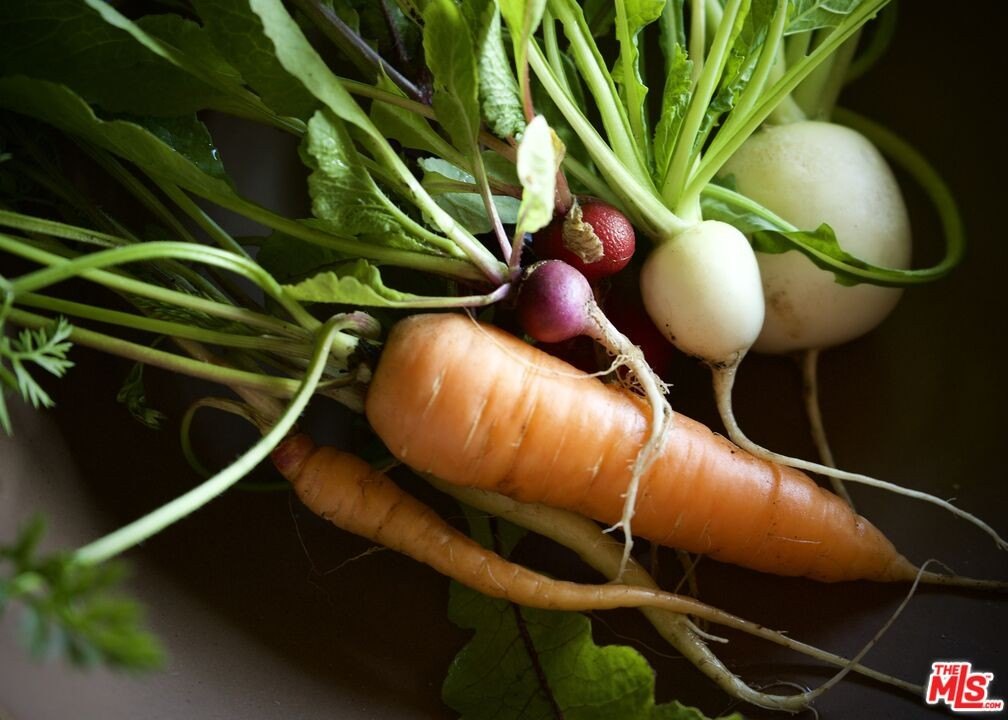 Malibu, California, 90265, United States, 3 Bedrooms Bedrooms, ,3.5 BathroomsBathrooms,Residential,Forsale,1985958