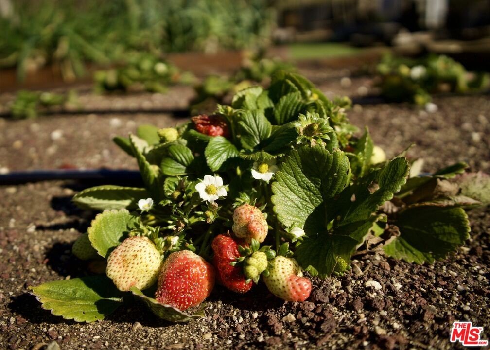 Malibu, California, 90265, United States, 3 Bedrooms Bedrooms, ,3.5 BathroomsBathrooms,Residential,Forsale,1985958