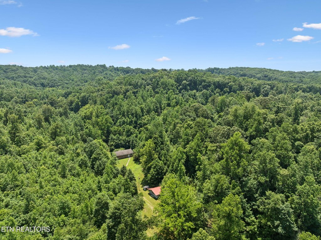 Lenoir City, Tennessee, 37771, United States, ,Land,Forsale,1910193