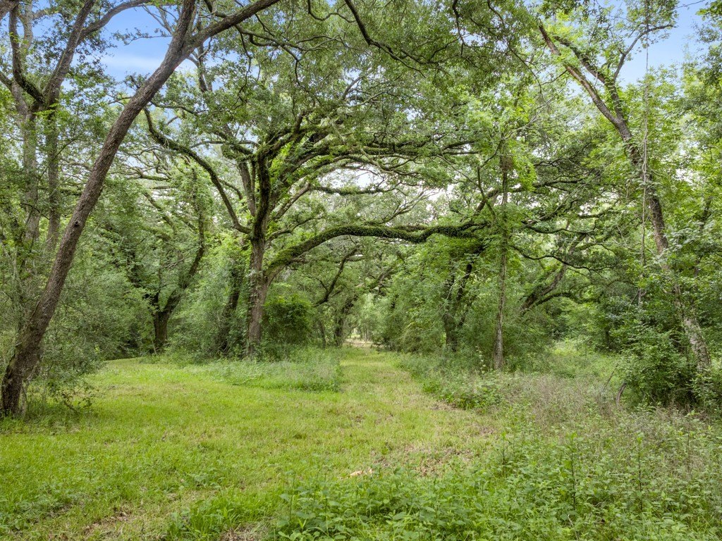Manvel, Texas, 77578, United States, 3 Bedrooms Bedrooms, ,2.5 BathroomsBathrooms,Residential,Forsale,1909986