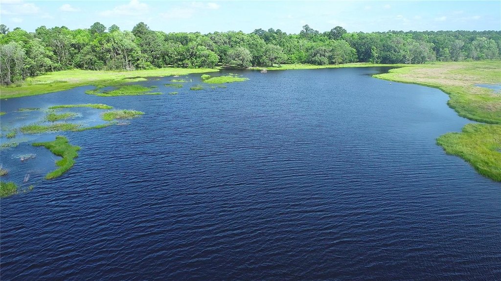 MICANOPY, Florida, 32667, United States, 5 Bedrooms Bedrooms, ,5.5 BathroomsBathrooms,Residential,Forsale,1905398