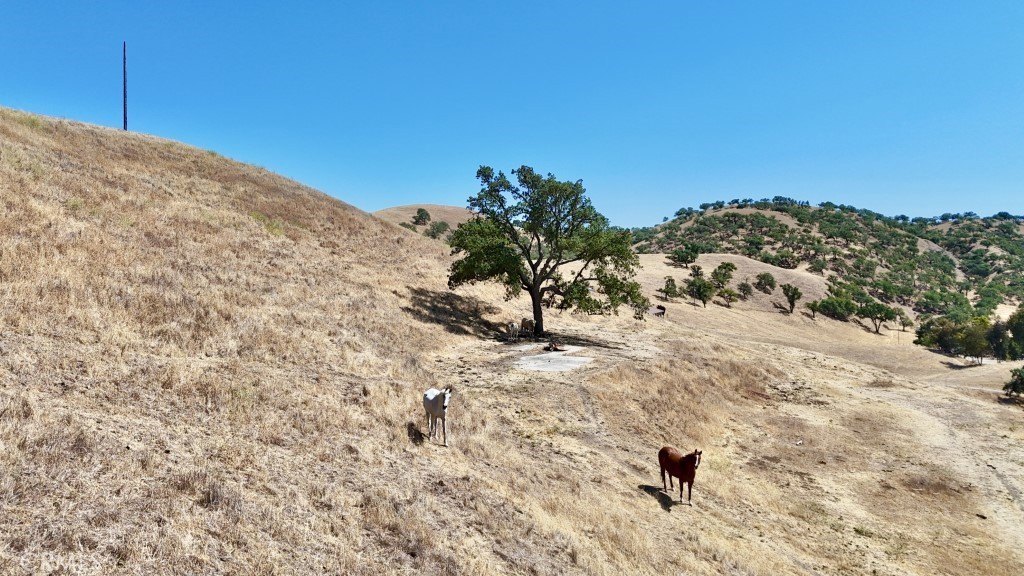 Paso Robles, California, 93446, United States, 4 Bedrooms Bedrooms, ,3.5 BathroomsBathrooms,Residential,Forsale,2004071