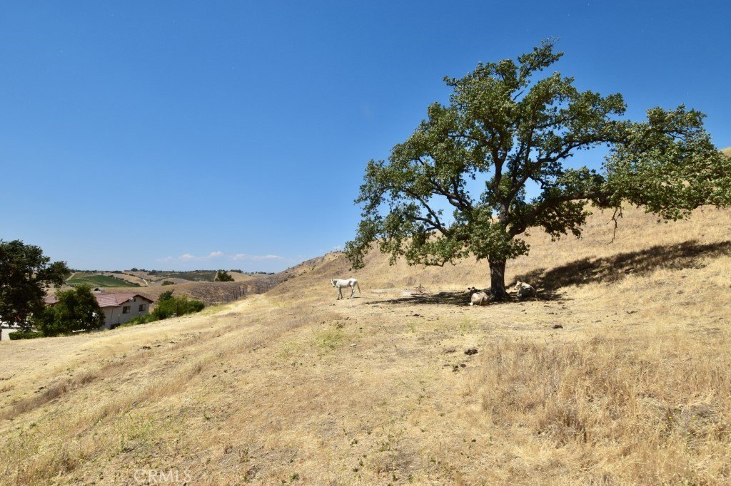 Paso Robles, California, 93446, United States, 4 Bedrooms Bedrooms, ,3.5 BathroomsBathrooms,Residential,Forsale,2004071