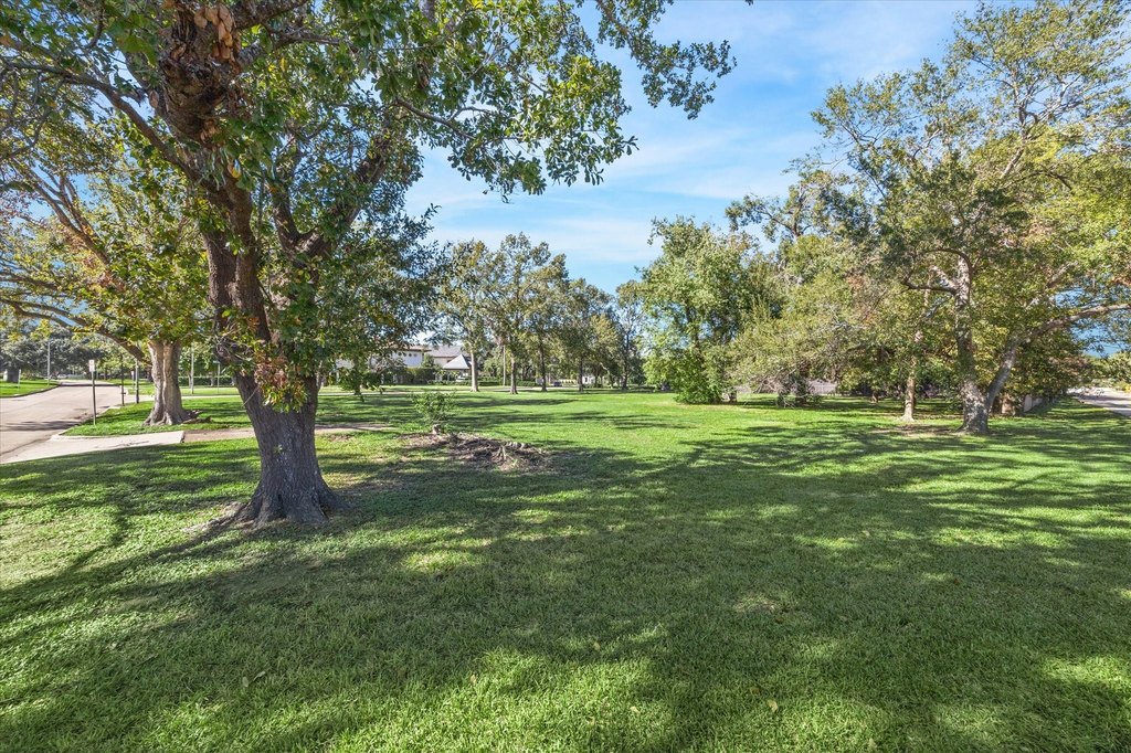 Houston, Texas, 77056, United States, ,Land,Forsale,1973415