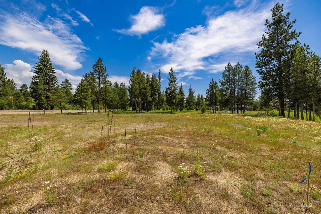 McCall, Idaho, 83638, United States, ,Land,Forsale,1996731