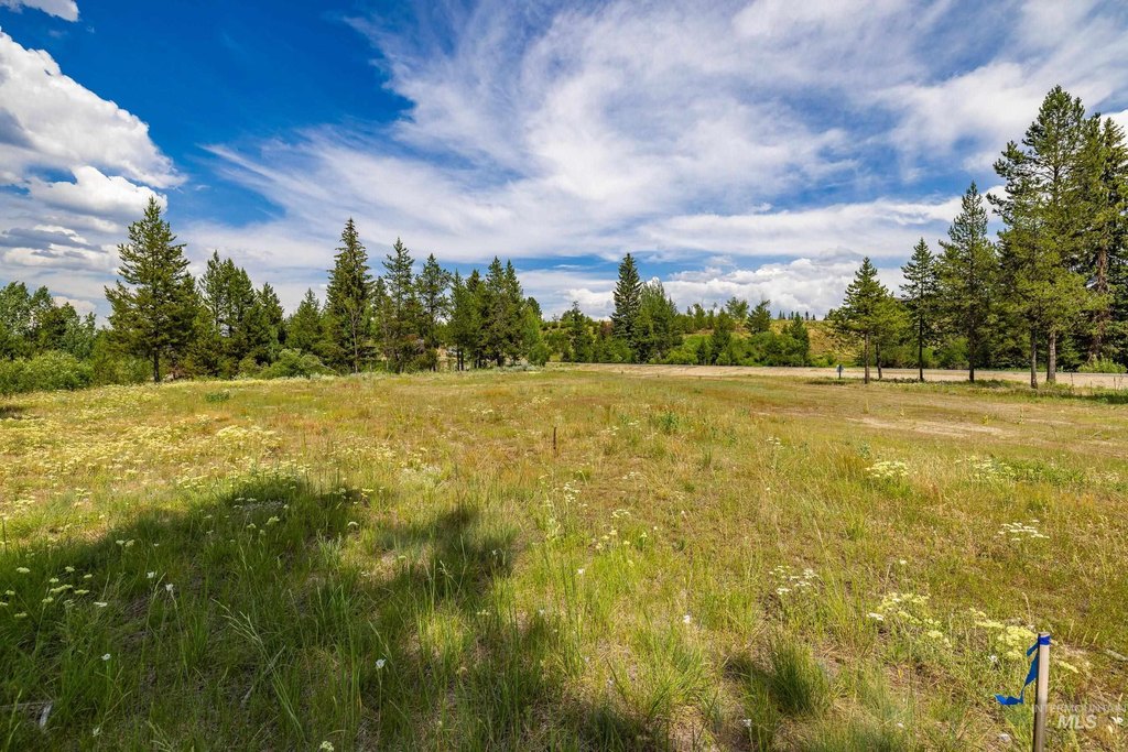 McCall, Idaho, 83638, United States, ,Land,Forsale,1996731