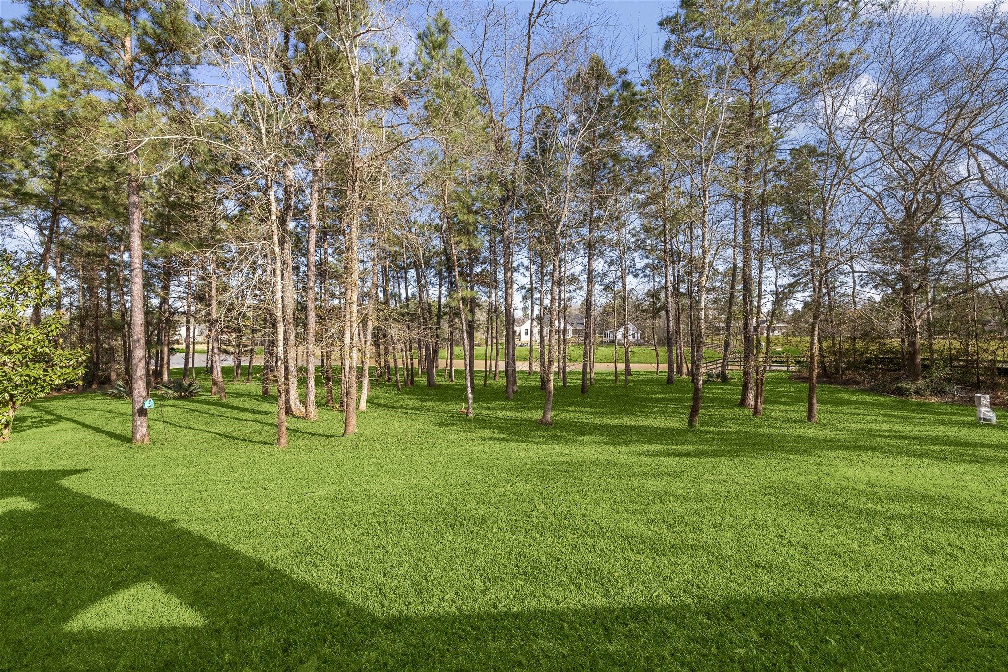Montgomery, Texas, 77316, United States, 5 Bedrooms Bedrooms, ,4 BathroomsBathrooms,Residential,Forsale,1953089