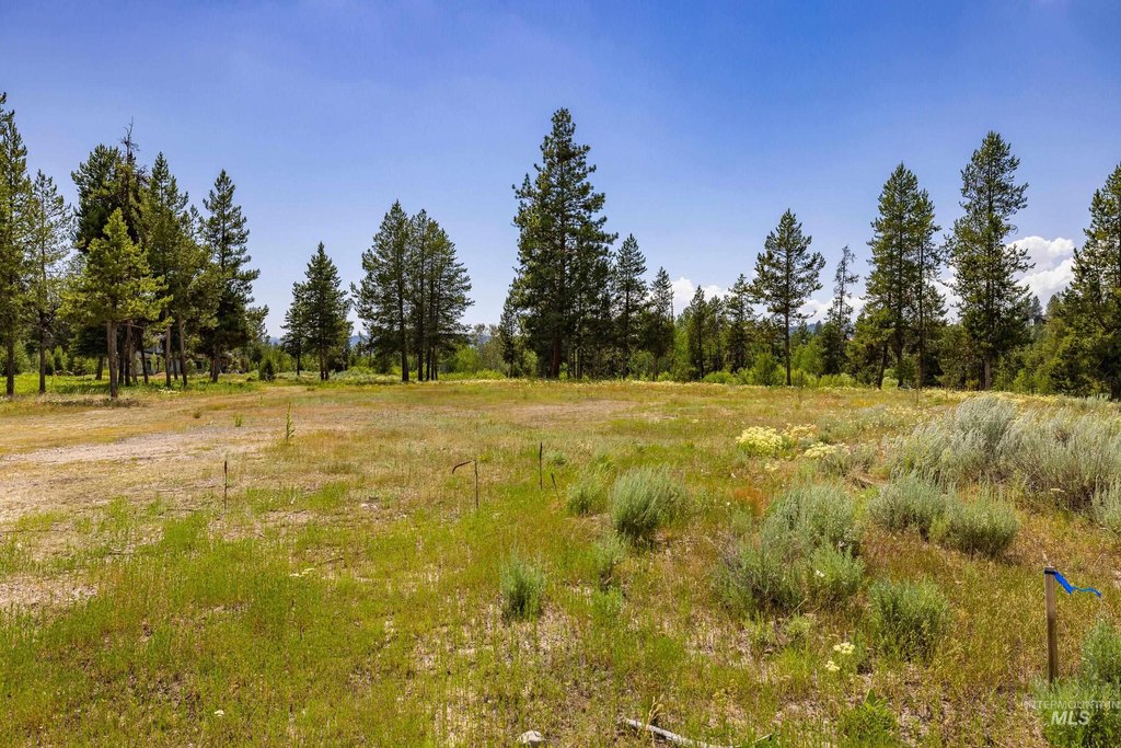 McCall, Idaho, 83638, United States, ,Land,Forsale,1996731