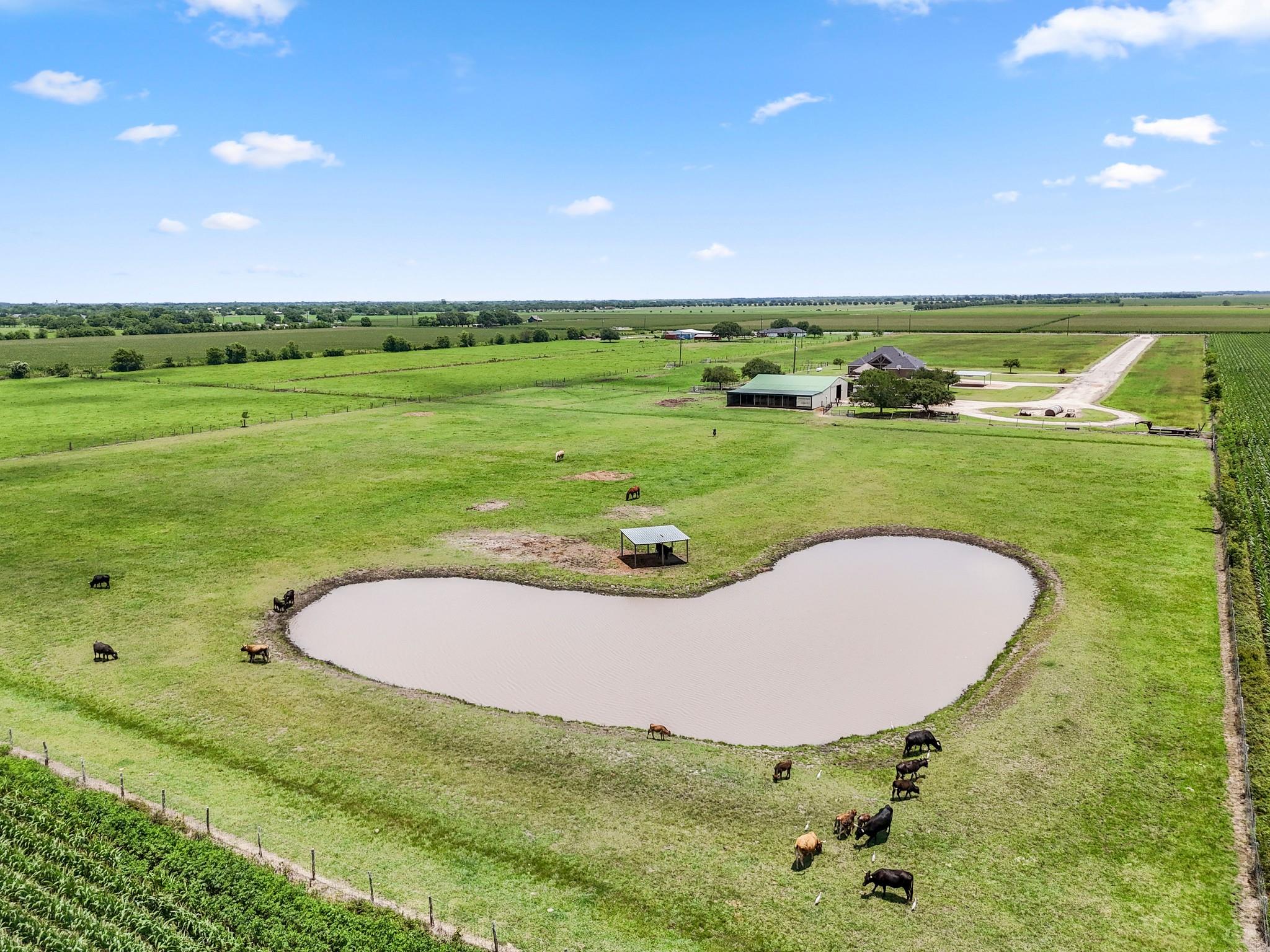 Needville, Texas, 77461, United States, 4 Bedrooms Bedrooms, ,3 BathroomsBathrooms,Residential,Forsale,1953080