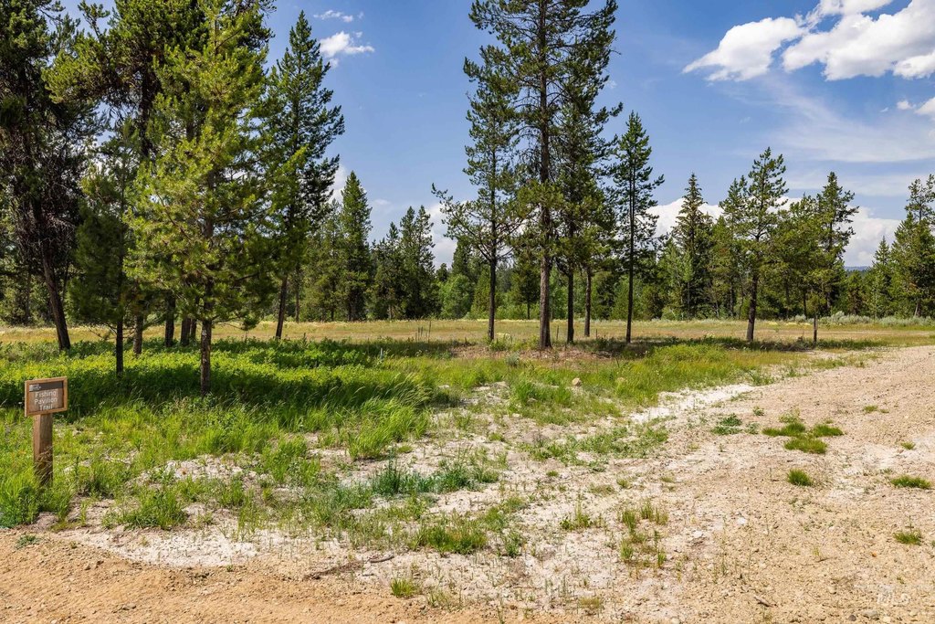 McCall, Idaho, 83638, United States, ,Land,Forsale,1996731