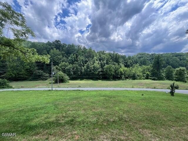 Sevierville, Tennessee, 37876, United States, 3 Bedrooms Bedrooms, ,3 BathroomsBathrooms,Residential,Forsale,1910186