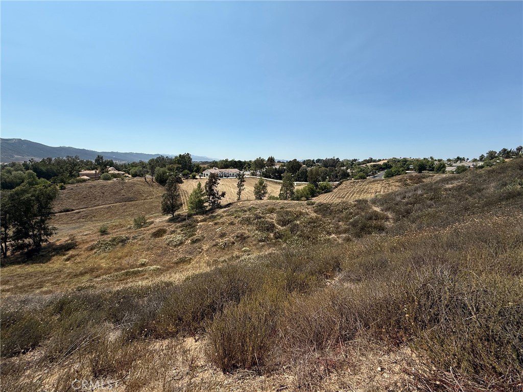 Temecula, California, 92592, United States, ,Land,Forsale,2009044