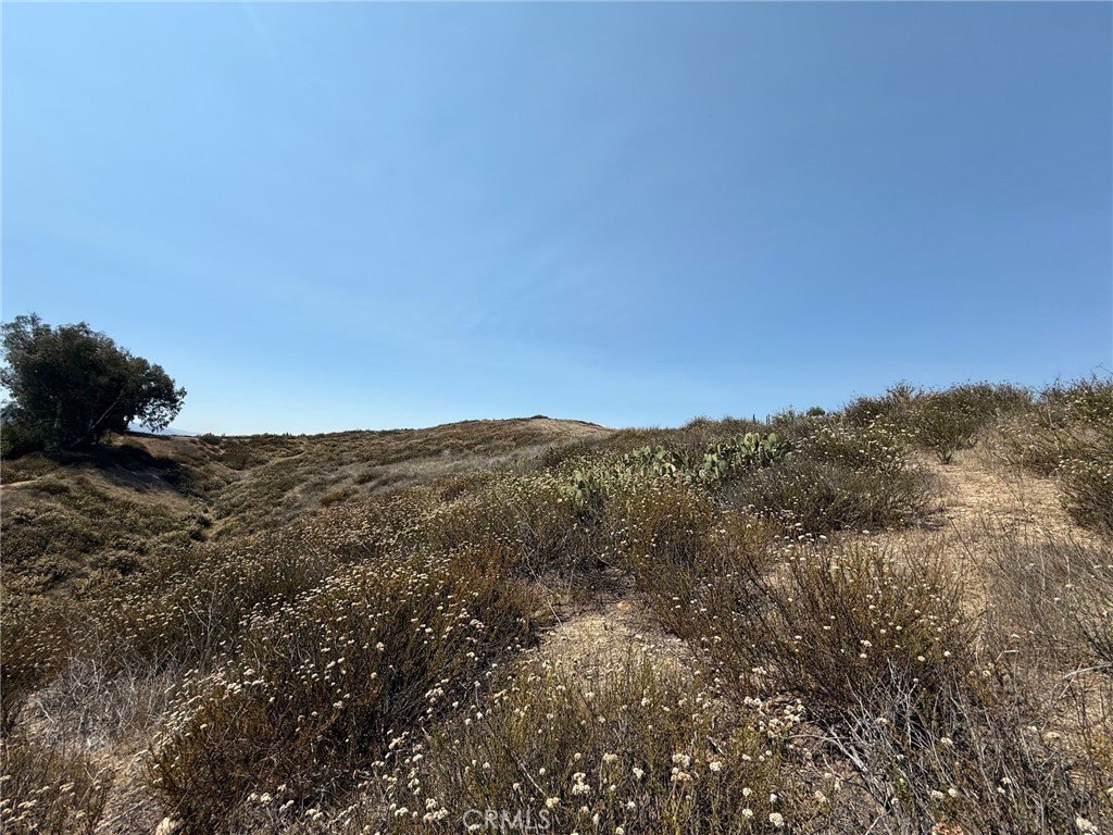 Temecula, California, 92592, United States, ,Land,Forsale,2009044