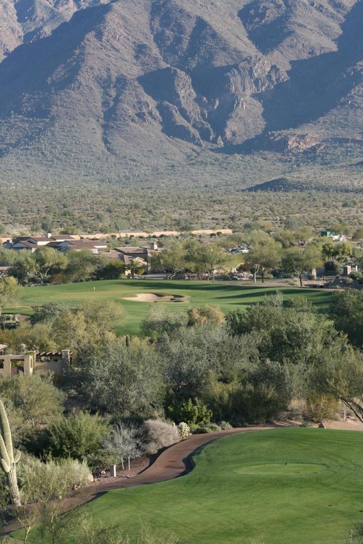 Gold Canyon, Arizona, 85118, United States, ,Land,Forsale,1908092