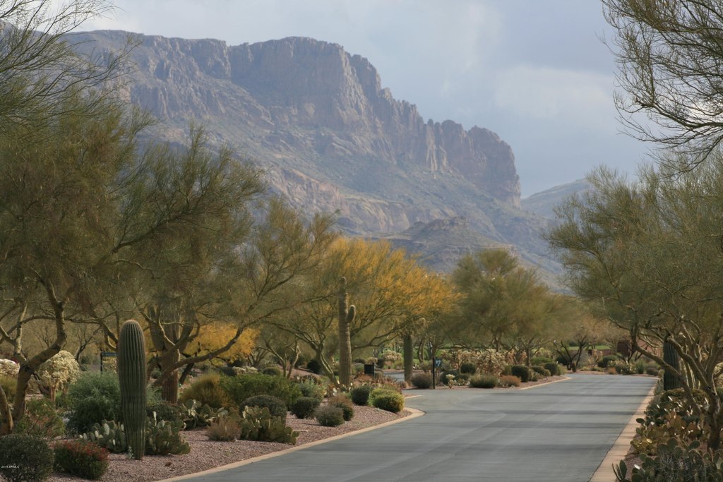 Gold Canyon, Arizona, 85118, United States, ,Land,Forsale,1908092