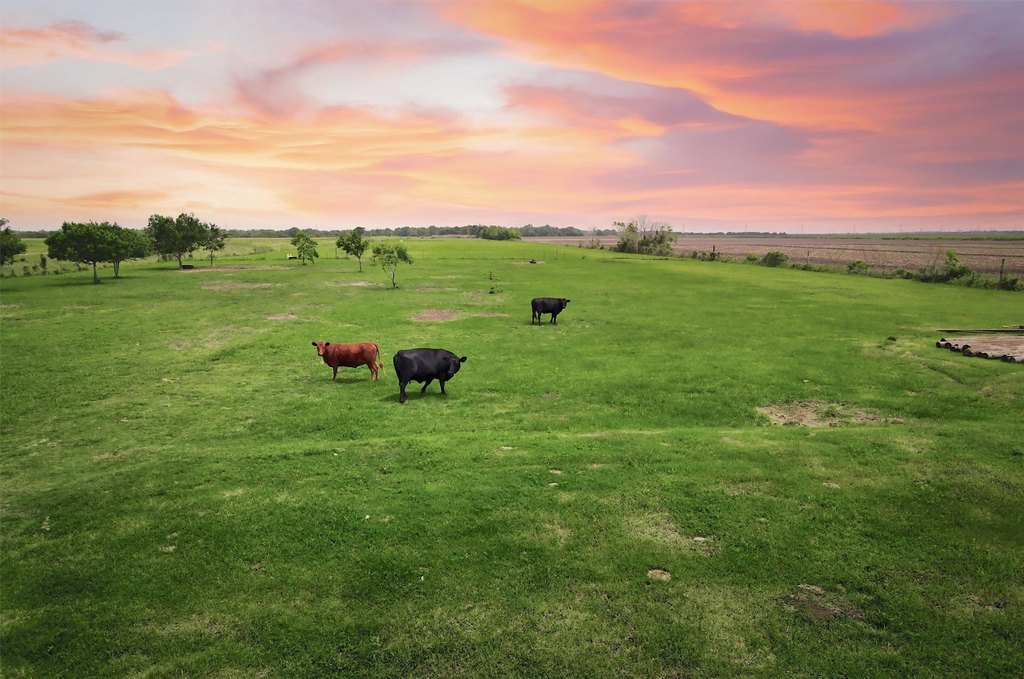Alvin, Texas, 77511, United States, ,Land,Forsale,1953066