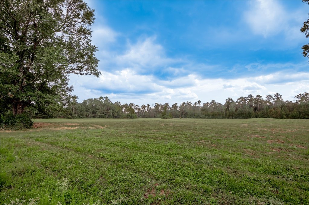 Groveton, Texas, 75845, United States, ,Land,Forsale,1889060