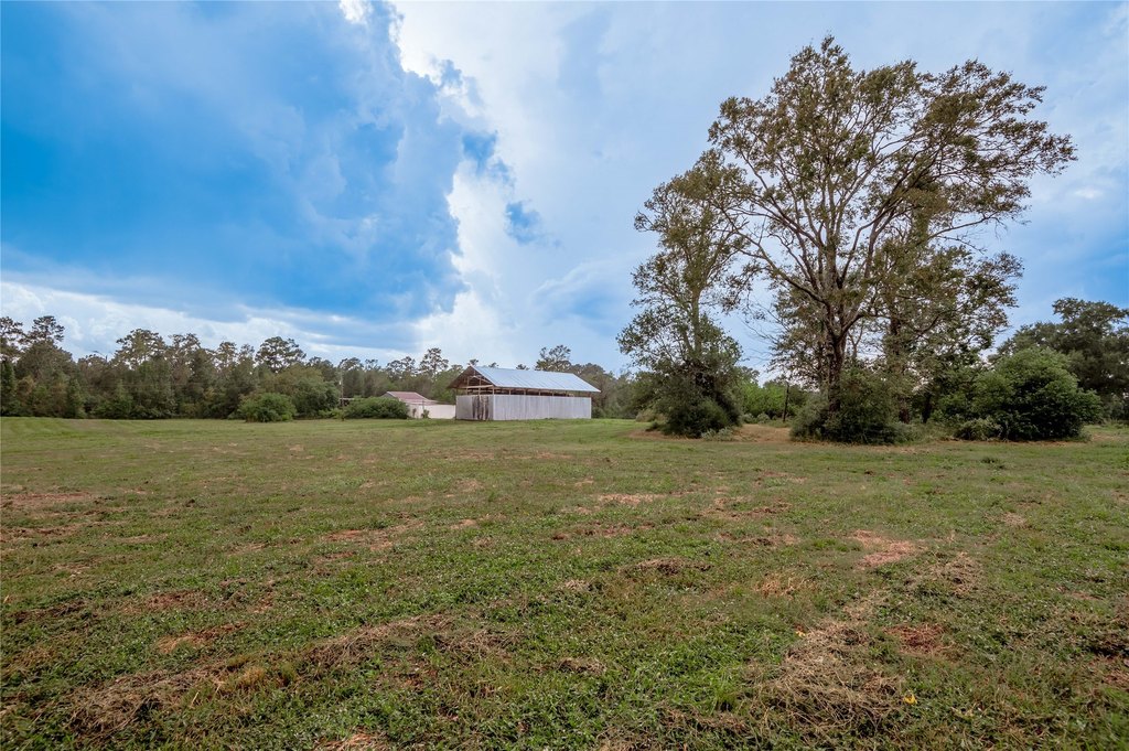 Groveton, Texas, 75845, United States, ,Land,Forsale,1889060