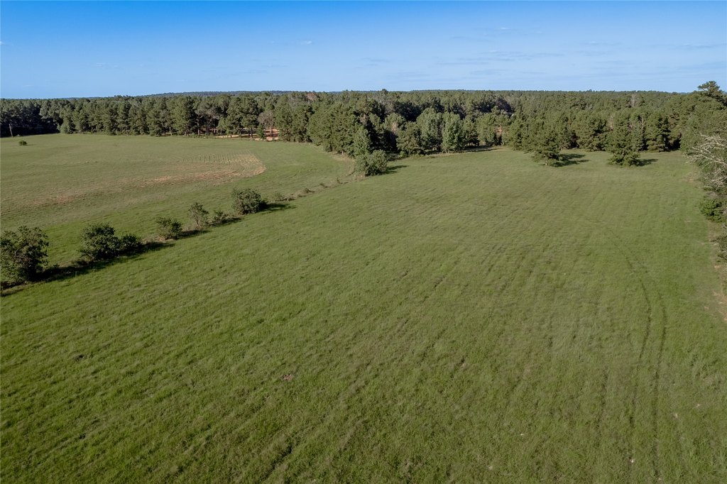Groveton, Texas, 75845, United States, ,Land,Forsale,1889060