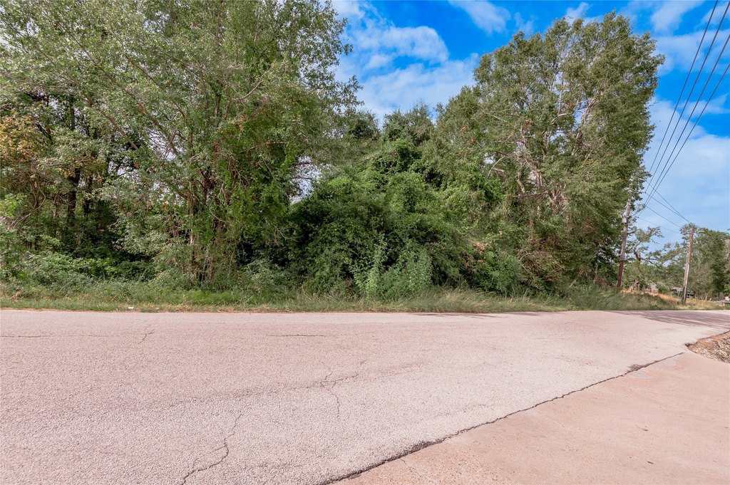 Onalaska, Texas, 77360, United States, ,Land,Forsale,1889064