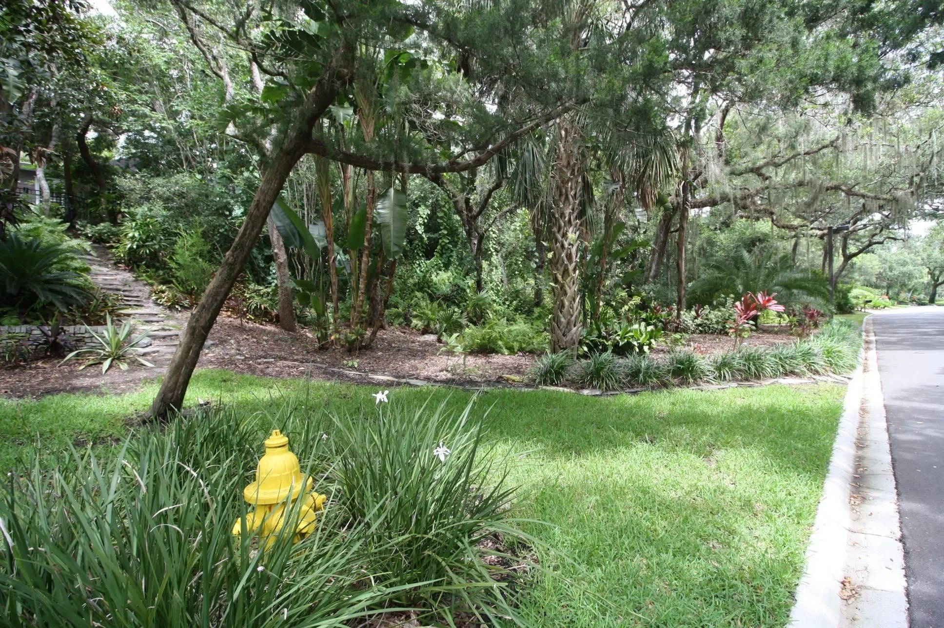 St Augustine, Florida, 32080, United States, 5 Bedrooms Bedrooms, ,3 BathroomsBathrooms,Residential,Forsale,1941457