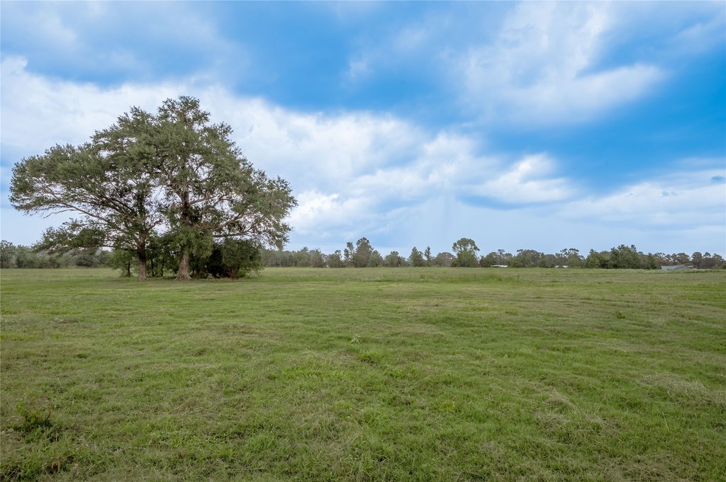 Groveton, Texas, 75845, United States, ,Land,Forsale,1889060