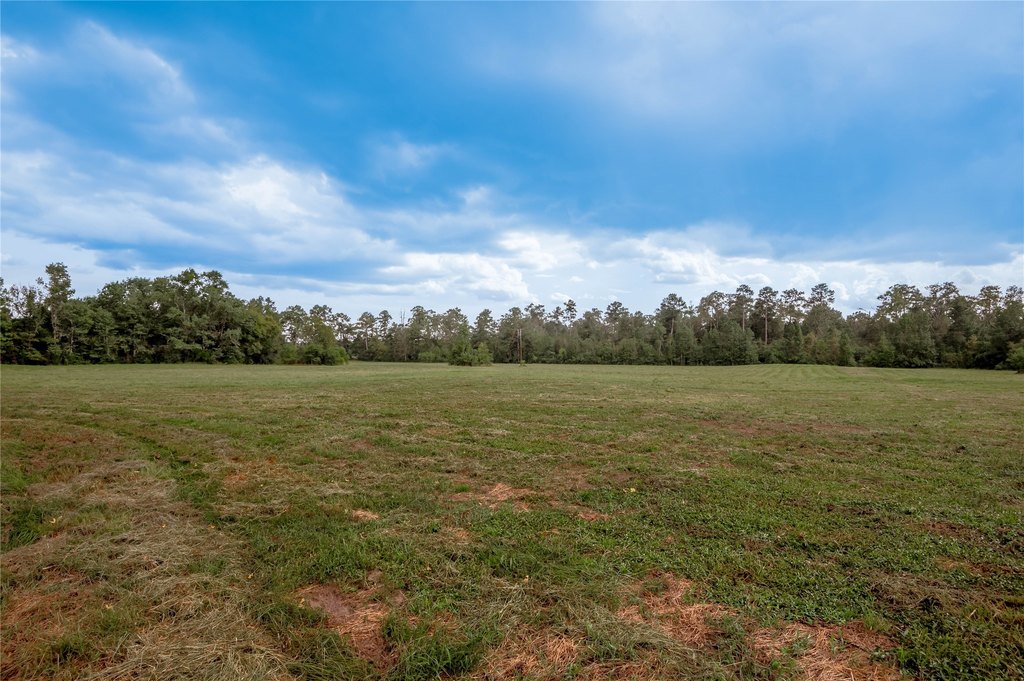 Groveton, Texas, 75845, United States, ,Land,Forsale,1889060