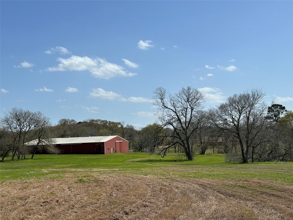 Navasota, Texas, 77868, United States, ,Land,Forsale,1936470