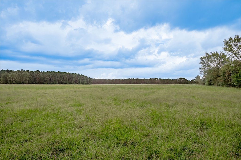 Groveton, Texas, 75845, United States, ,Land,Forsale,1889060