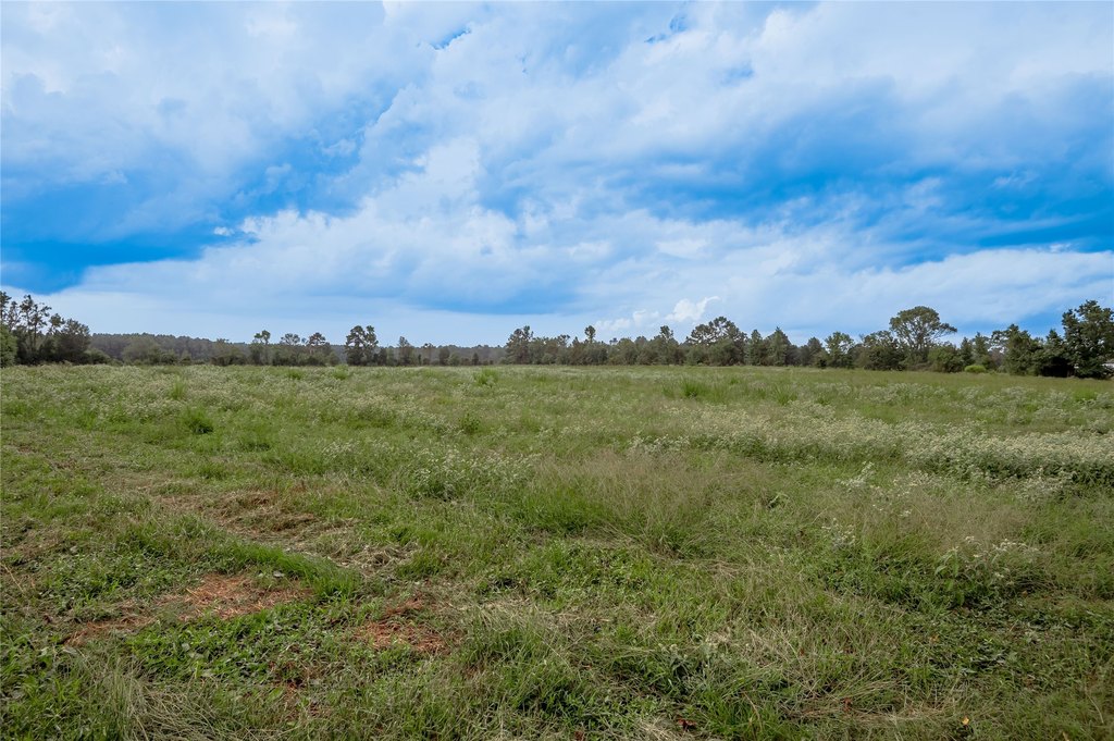 Groveton, Texas, 75845, United States, ,Land,Forsale,1889060