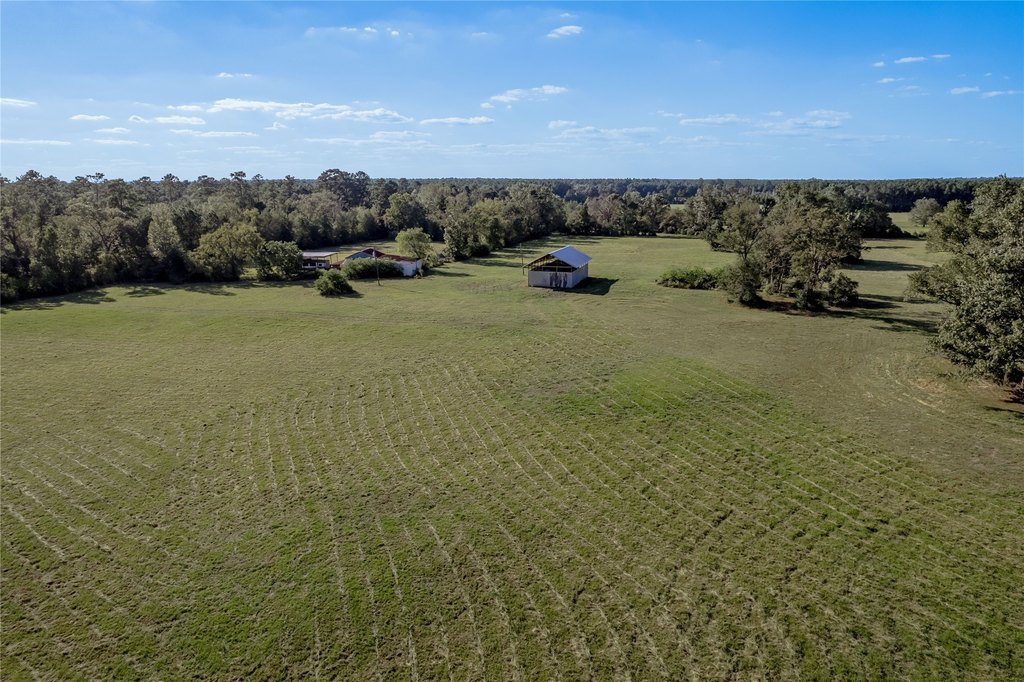 Groveton, Texas, 75845, United States, ,Land,Forsale,1889060