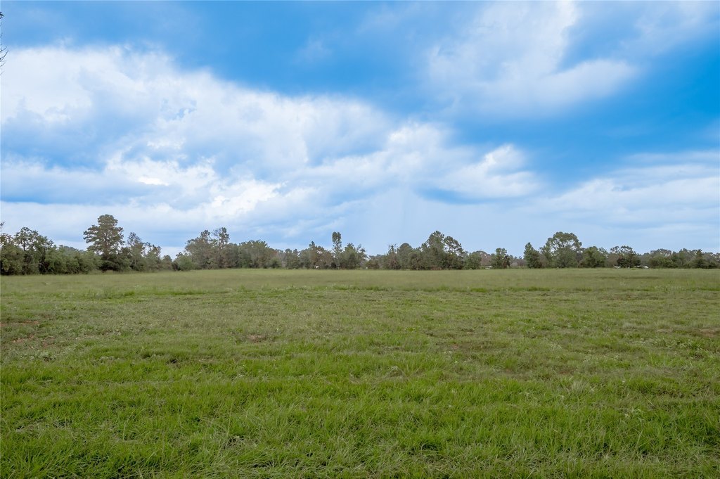 Groveton, Texas, 75845, United States, ,Land,Forsale,1889060