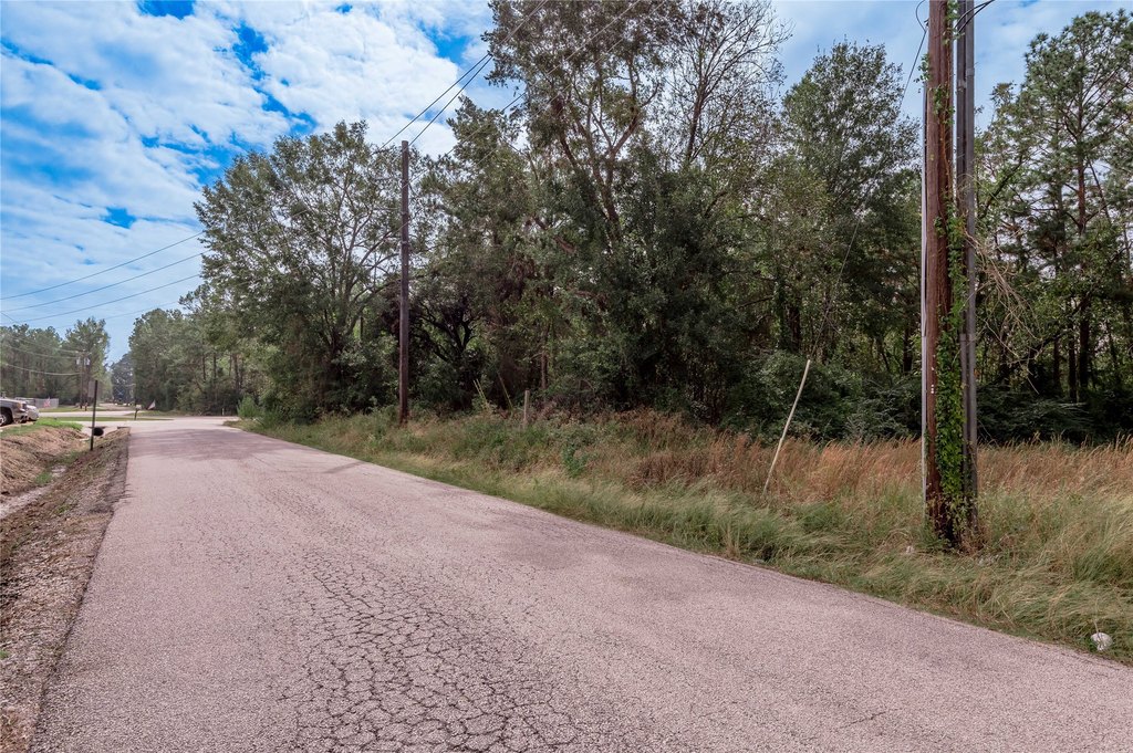 Onalaska, Texas, 77360, United States, ,Land,Forsale,1889064
