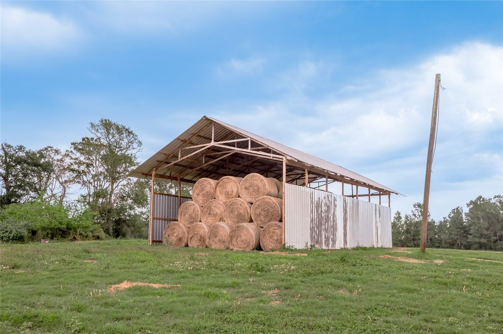 Groveton, Texas, 75845, United States, ,Land,Forsale,1889060